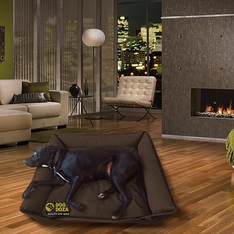 performatrin salmon dog food