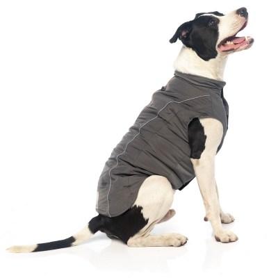 FZAW201-7_Jacket_TheStormchaser_DarkGrey_Dog_1