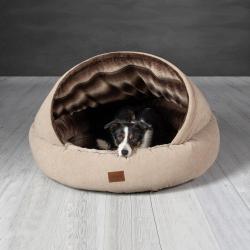 hills kitten dry food